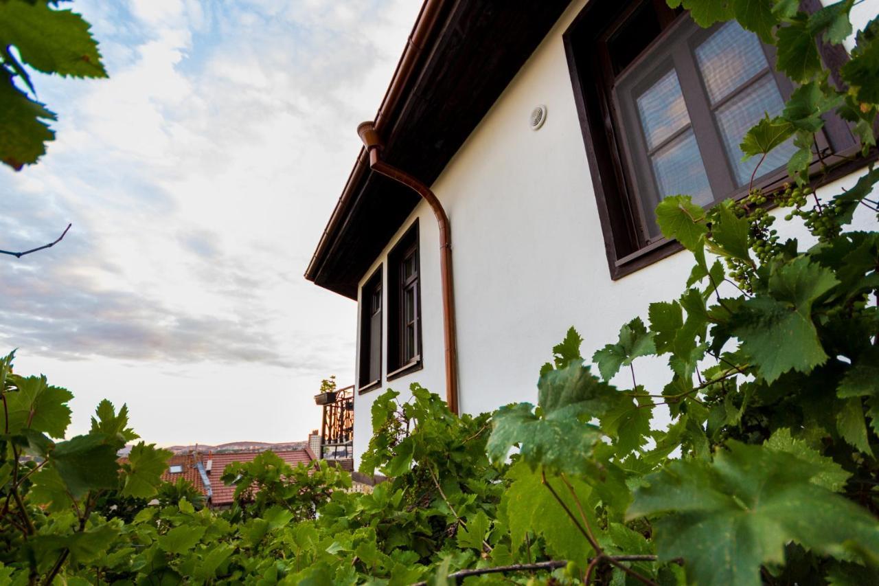 Apartment Zdravets, In The Heart Of The Old City Veliko Tarnovo Eksteriør billede